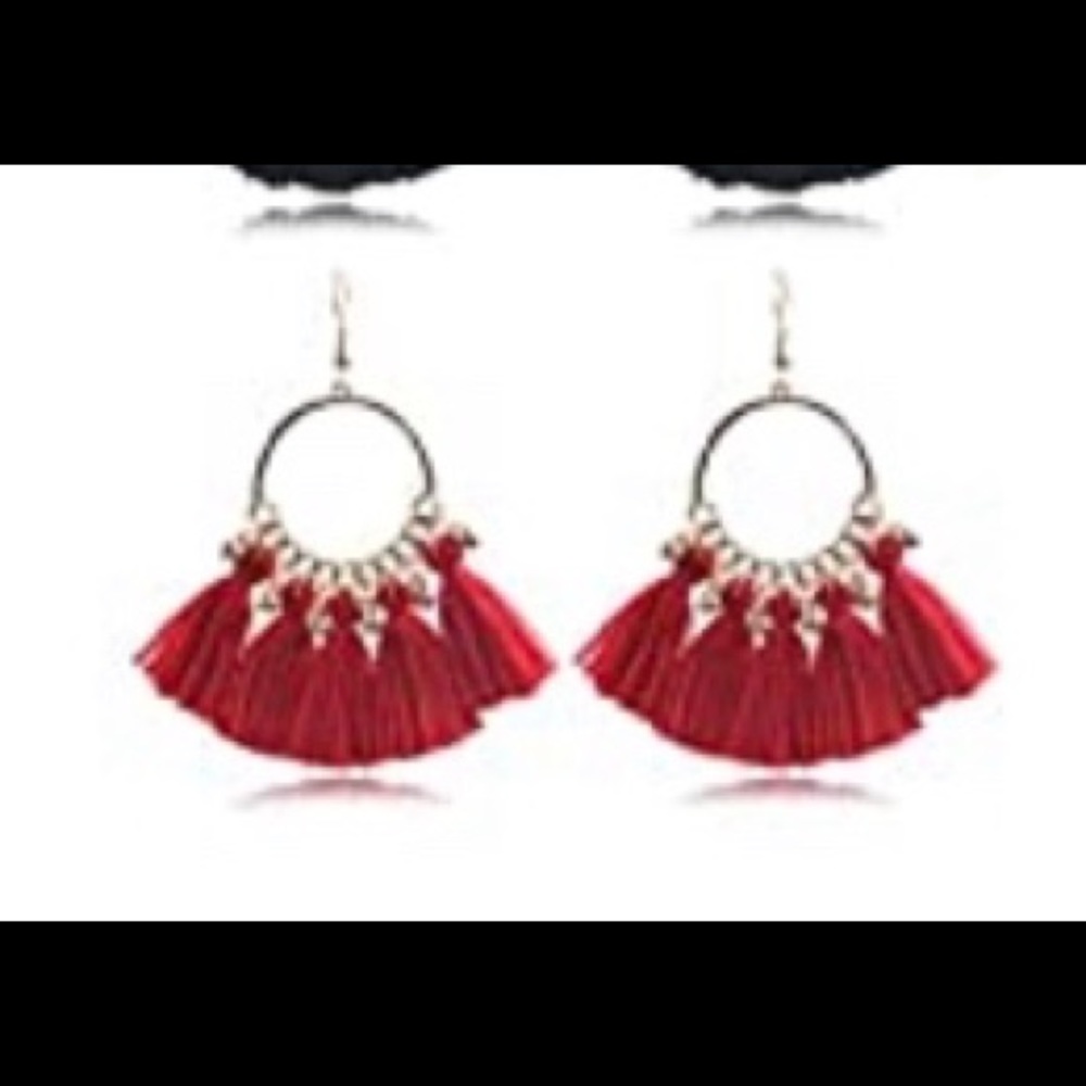 1 pair New in package hoop/tassel earrings